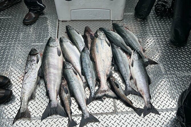 Private Ketchikan Wild Alaskan Salmon Fishing Trip - Setting Off from Ketchikan: What to Expect