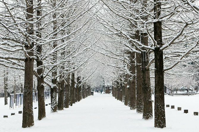 Private Nami Island, Elysian Ski and garden of morning calm Tour - Value and Practicality