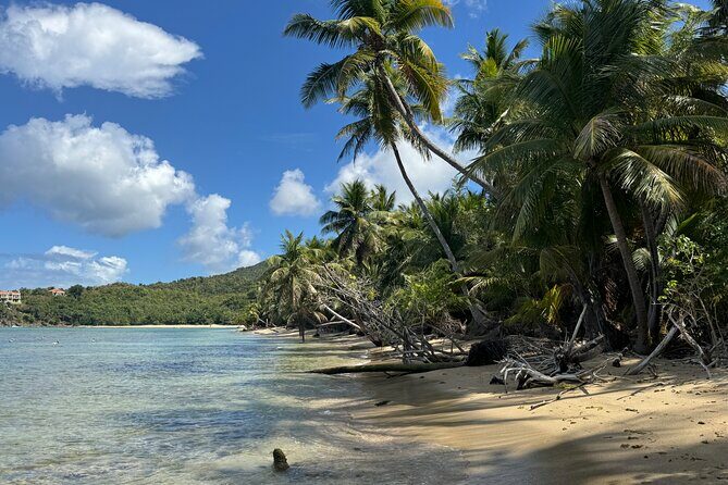 Private Open-Air Jeep Adventure with Tropic Sun Hidden Beaches - Final Word