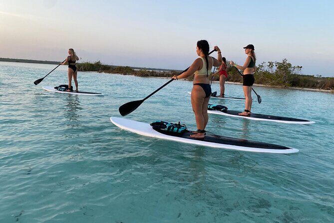Private Paddleboard Experience in Bacalar - What to Expect on the Tour