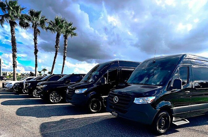 Private service, Airport, Hotels to Port Canaveral terminals. - What Makes This Transfer Stand Out?
