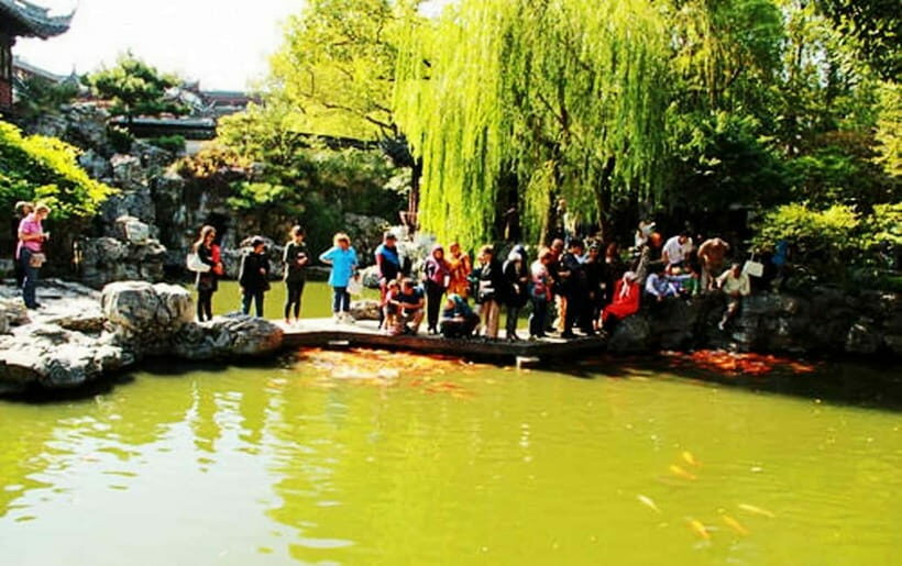 Private Shanghai Full Day City Tour with Old &New Highlights - Who Is This Tour Best For?