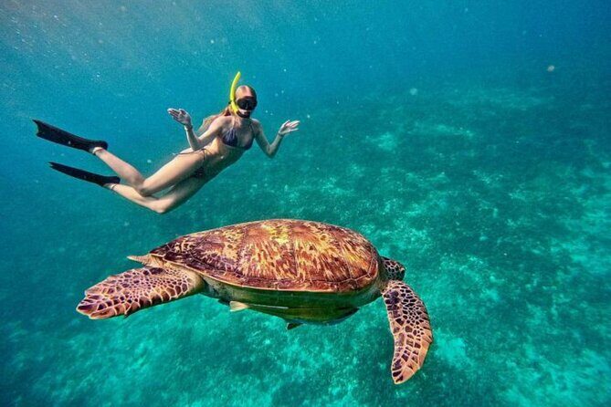 Private Snorkeling Start Gili Meno and Explore 4 Spots with GoPro - What to Expect from This Private Snorkeling Experience