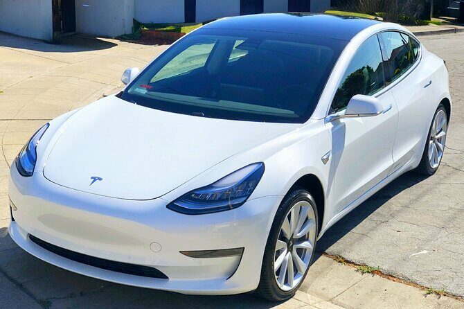 Private Tesla Transfer: Auckland, Tauranga, Rotorua, Taupo - Final Thoughts: Is It Worth It?
