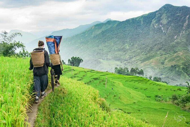 Private Tour Experience from Sapa Town to Cat Cat Village - Practical Details and Considerations