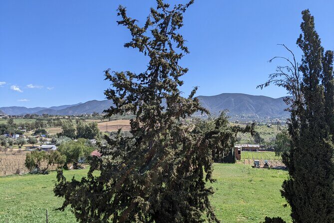 Private Tour in Valle De Guadalupe - What’s Included and What’s Not?