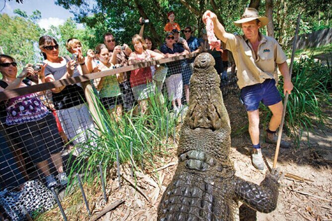 PRIVATE TRANSFER Cairns Airport  Port Douglas Minibus (6am-5pm) - Insights from Travelers’ Reviews