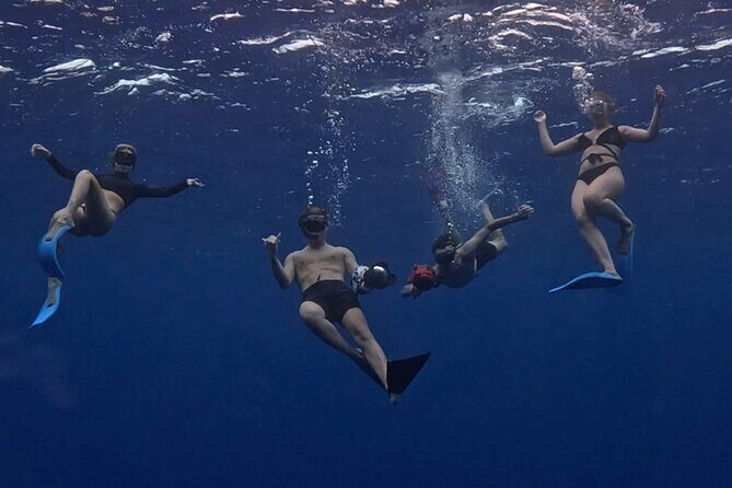 Private Whale Watching Adventure in Mo'orea - Who Will Love This Tour?