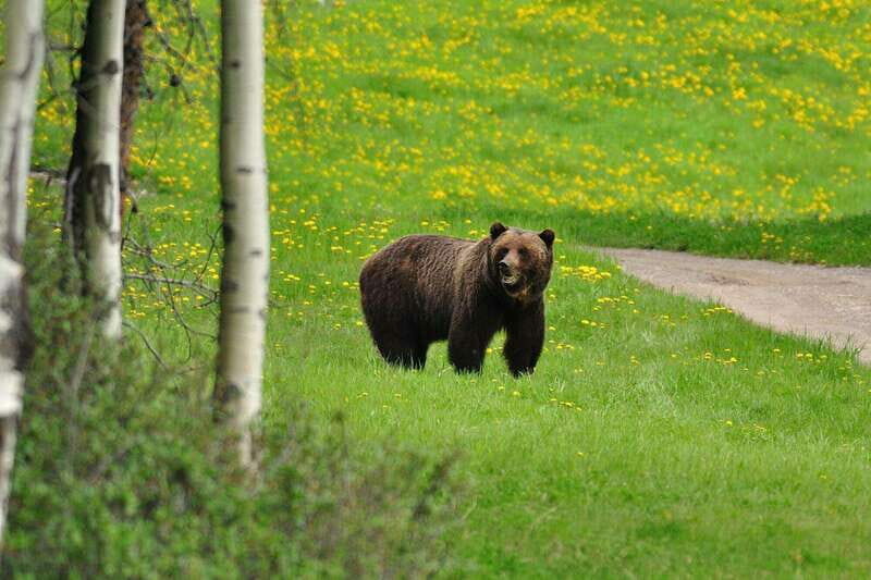 PRIVATE Wilderness and Wildlife Walking Tour - 2.5H - The Itinerary and What to Expect