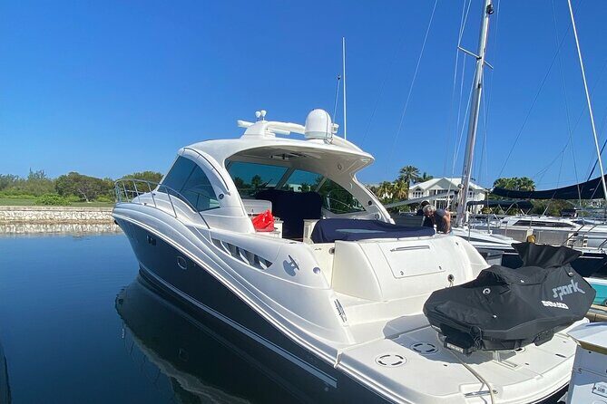 Private Yacht 48 ft Sting Ray City, Snorkel & Starfish Beach - A Deep Dive into the Experience