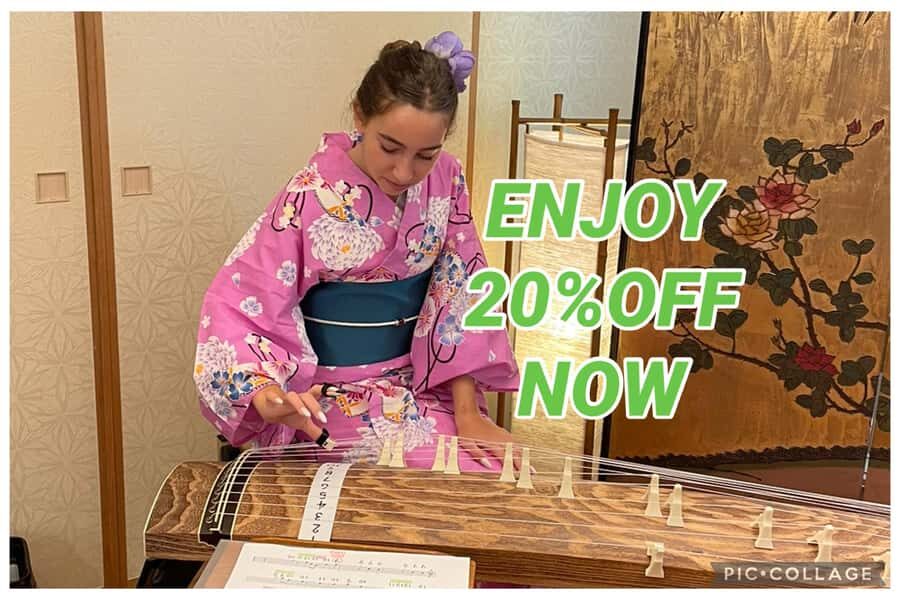 Privately visit local home for tea ceremony &music, Tokyo - A Close Look at the Experience