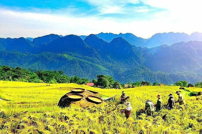 Pu Luong Insight Half Day of Nature and Culture Discovery Top 1 - What It’s Like to Travel With Divi Travel