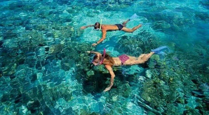 Puerto Morelos: Snorkeling at The National Reef Park - What Travelers Are Saying