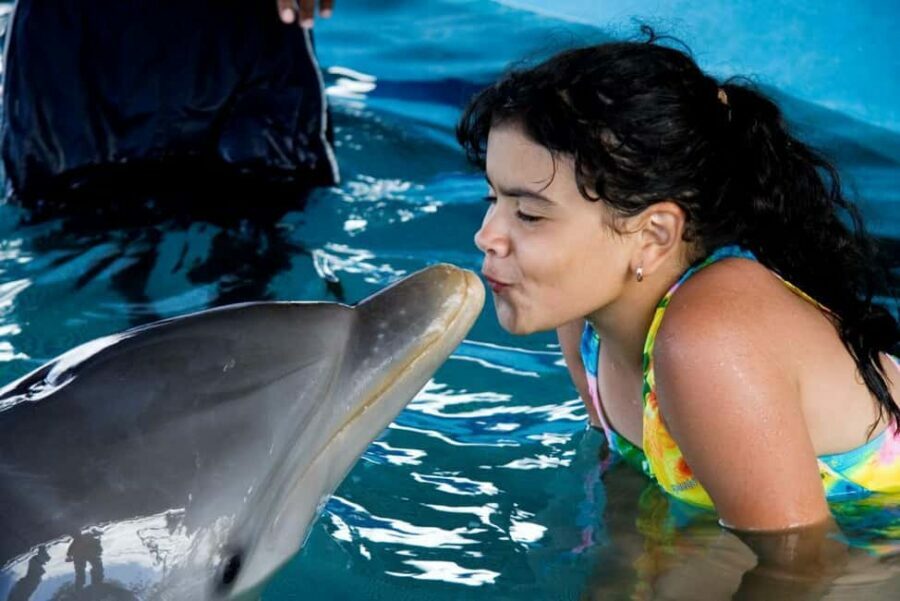 Puerto Plata: Dolphin Encounter at Ocean World - Who Will Love This Tour?