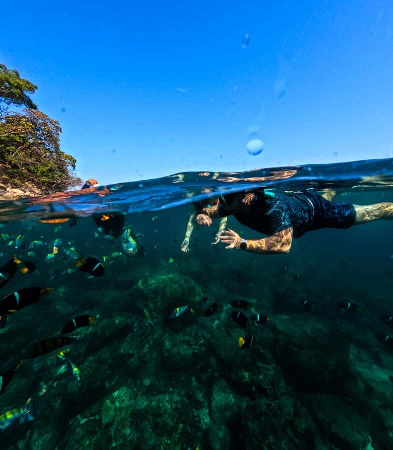 Puerto Vallarta: Snorkel With Tropical Fishes & Canopy Tour - Majahuitas: The Highlight of Snorkeling