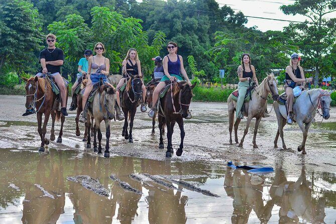 Punta Cana Beach Horseback Ride Paradise Coast Experience - The Value of the Experience