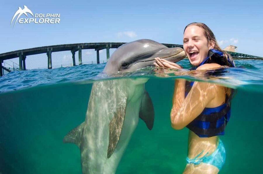 Punta Cana Dolphin Adventure: 40-Minute Interaction - Practical Details and Tips