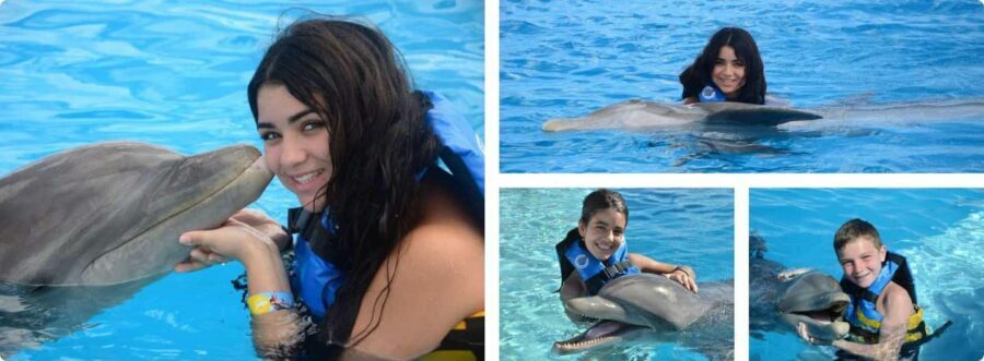 Punta Cana: Dolphin Explorer Park Entry, Swim, or Encounter - What to Expect During Your Visit