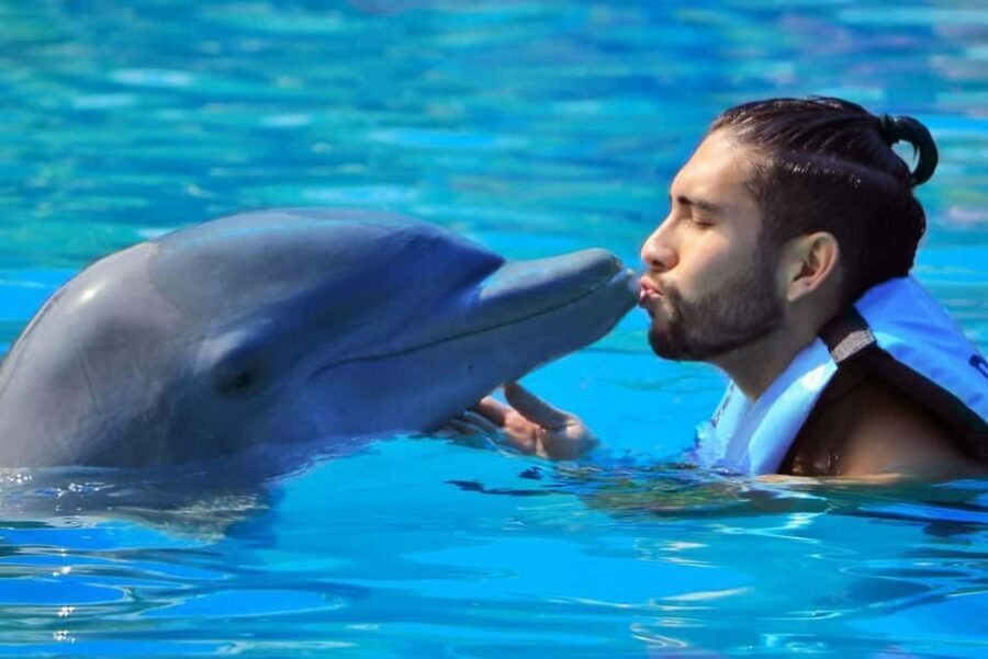 Punta Cana: Dolphin Interaction Experience & Hotel Transfers - FAQ