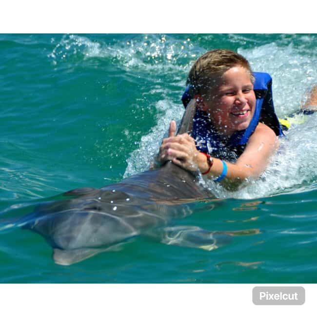 Punta Cana: Dolphin Park Entry and Swim with Dolphins - The Practicalities of the Tour