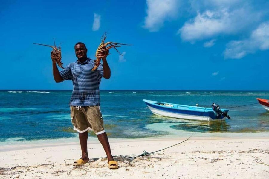 Punta Cana: Isla Saona Day Trip with Lunch & Catamaran - What Makes This Tour Stand Out