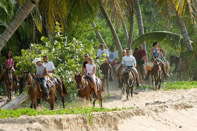 Punta Cana to Samana: El Limon Falls and Bacardi Island - Who Is This Tour Best For?