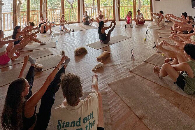 Puppy Yoga Bali, Uluwatu - 1 Thing to Do in Bali - What to Expect During Your Puppy Yoga Session