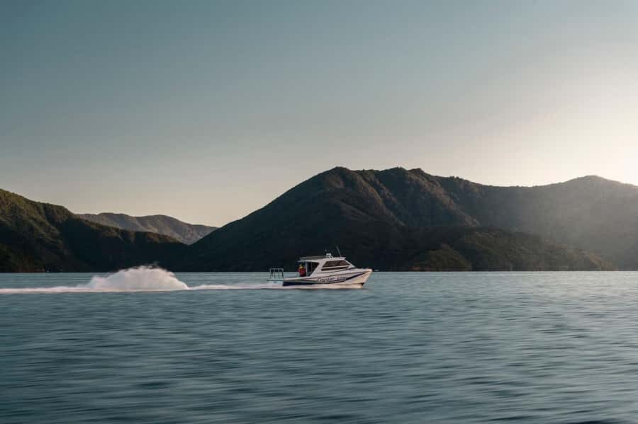 Queen Charlotte Sound Cruise with Lunch - The Experience From the Travelers Perspective