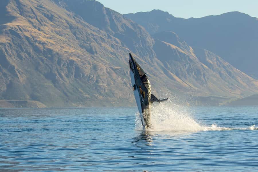 Queenstown: Hydro Attack Shark Ride - What To Expect During Your Ride