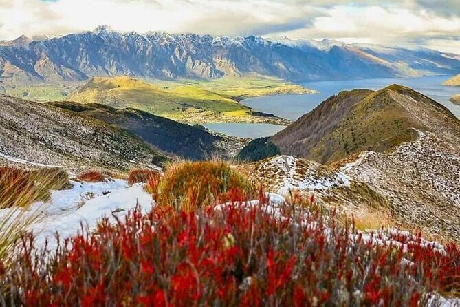 Queenstown Private Airport Transfer: Door to Door Service - Final Thoughts: Is It Worth It?
