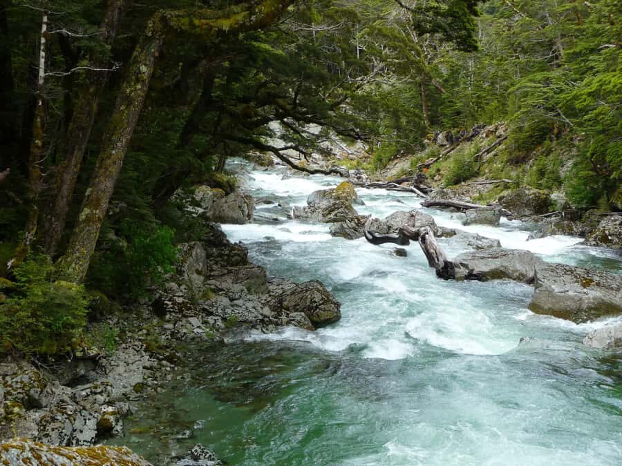 Queenstown: Routeburn Track Guided Full-Day Walk or Half Day - What Makes This Tour Stand Out