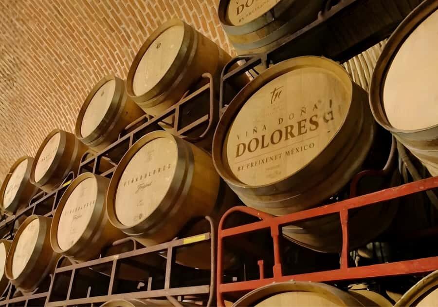 Querétaro: Peña de Bernal y Cavas de Freixenet - What Makes This Tour Stand Out?