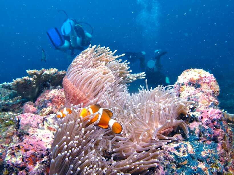 RAID Try-Dive in Kota Kinabalu, Sabah - What’s Included and What to Consider
