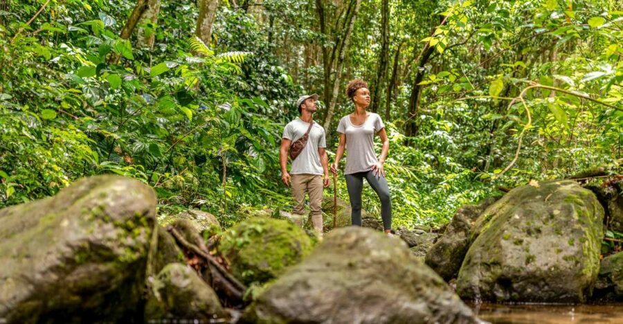 Rainforest Adventure - The Trail and Its Challenges