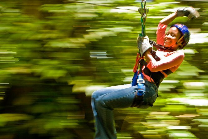 Rainforest Canopy Adventure from Vieux Fort or North Island, St Lucia - Considerations and Tips
