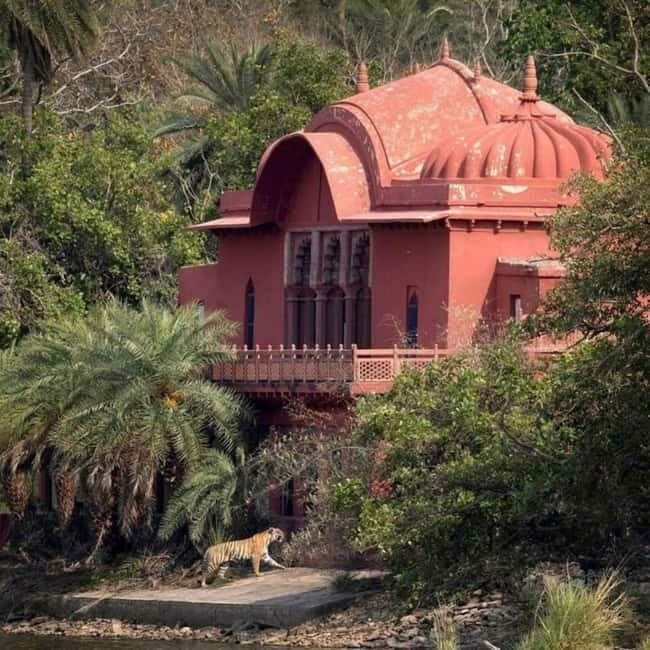 Ranthambhore: Ranthambhore Tiger Reserve Booking - The Historic Ranthambore Fort