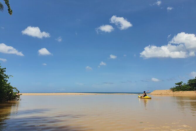 Rental Kayaking or Stand-up Paddle 2H - Authentic Reviews & What Travelers Say