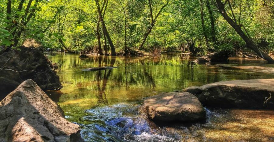 Richmond: Guided Hike in James River Park - Exploring Richmond’s Natural Heart in James River Park