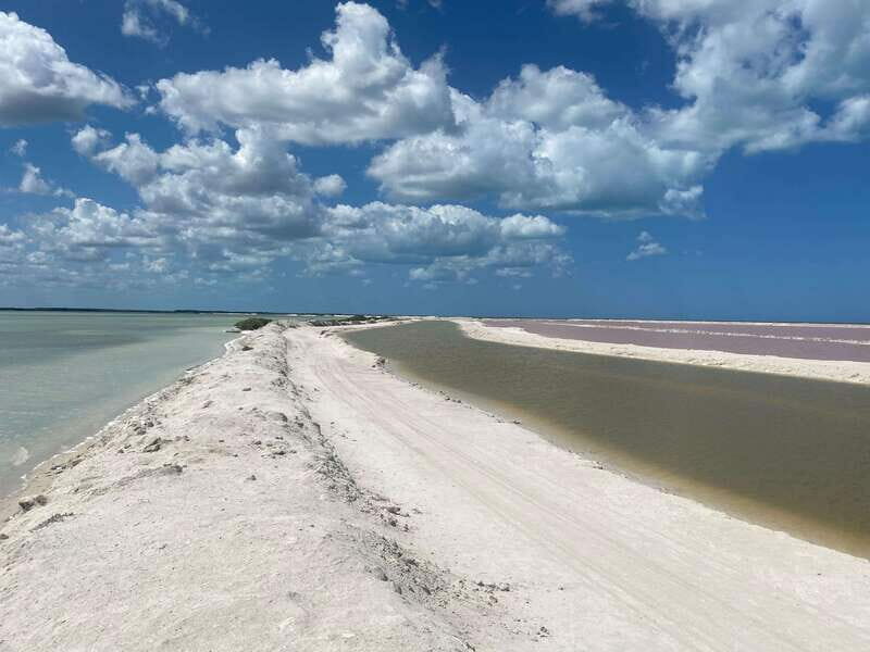 Rio Lagartos and Las Coloradas: EcoSafari Flamingo classic - Who Will Love This Tour?