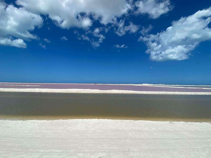 Río Lagartos and Las Coloradas: Natural Experience - The Las Coloradas Pink Lagoons