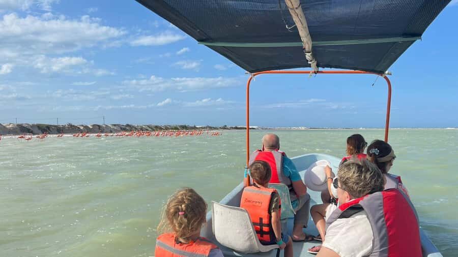Río Lagartos & Las Coloradas Boat Tour: Flamingos, Mangroves - Who Is This Tour Best For?