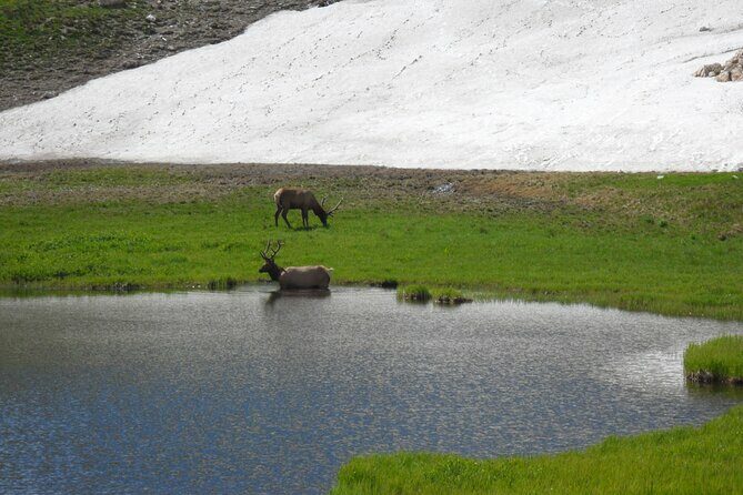 RMNP: Bear Lake Corridor Tour - Who Should Consider This Tour?