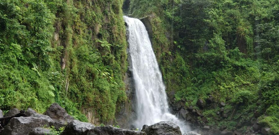Roseau: Titou Gorge, Hot Spring, Falls & Champagne Reef Tour - The Itinerary: What to Expect at Each Stop