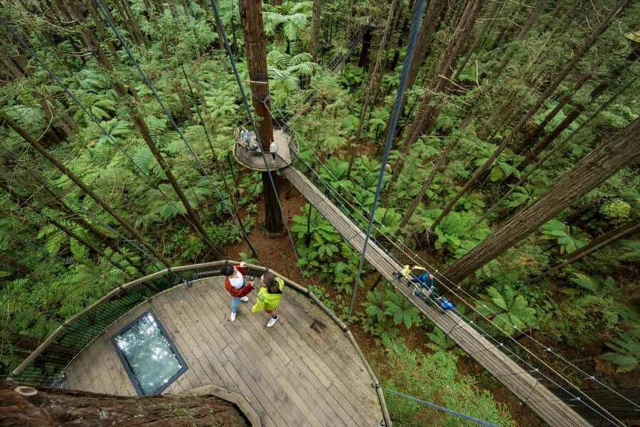 Rotorua: Redwoods Altitude, Nighttime Fast Pass, & Treewalk - The High Ropes Adventure: Redwoods Altitude