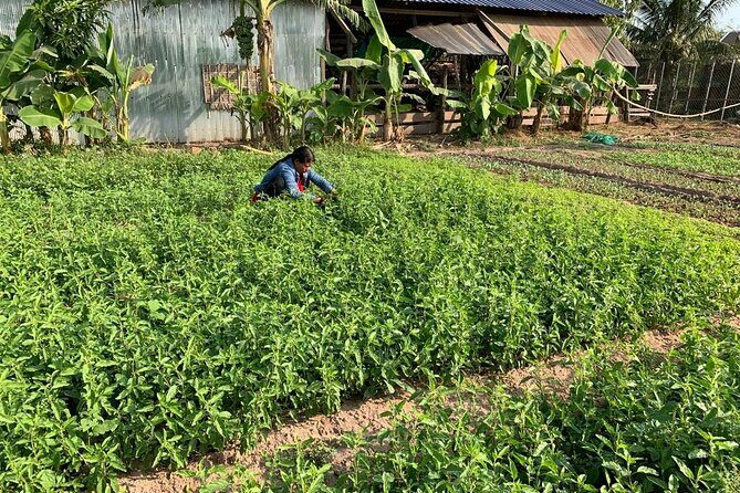 Rural Countryside Experience Tour in Siem Reap - The Value of the Tour
