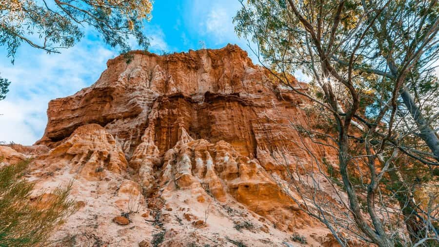 SA Riverland: 3-Day Murray River & National Parks Eco Tour - The Sum Up