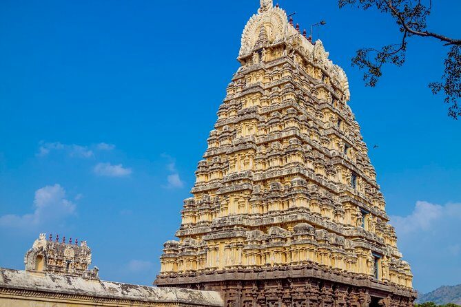 Sacred Temple Tour: Chennai to Tiruvannamalai & Golden Temple - Transportation and Logistics: Making the Long Day Comfortable