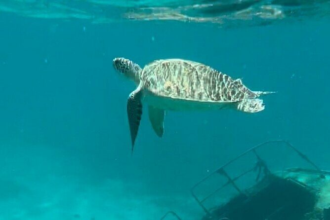 Sail and Snorkel Private Charter - Half Day Morning - Who Will Love This Tour?