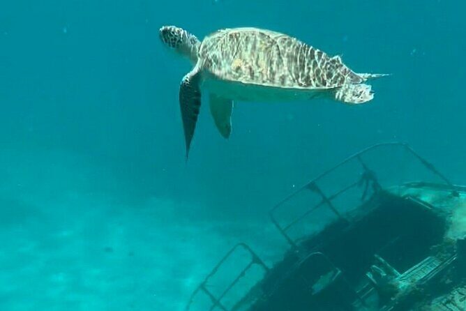 Sail and Snorkel Private Charter - Mid-Day Sail 1230pm to Sunset - The Itinerary: What Makes It Special