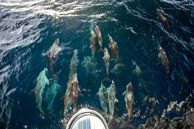Sailing and Snorkeling to Norman Island and Caves - The Sailing Experience